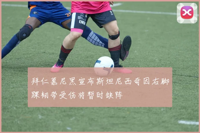 拜仁慕尼黑宣布斯坦尼西奇因右脚踝韧带受伤将暂时缺阵